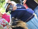 img 3530 img 3530
