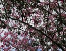 img 3573 img 3573