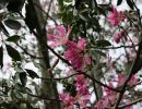 img 3574 img 3574