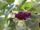 img 3599 img 3599