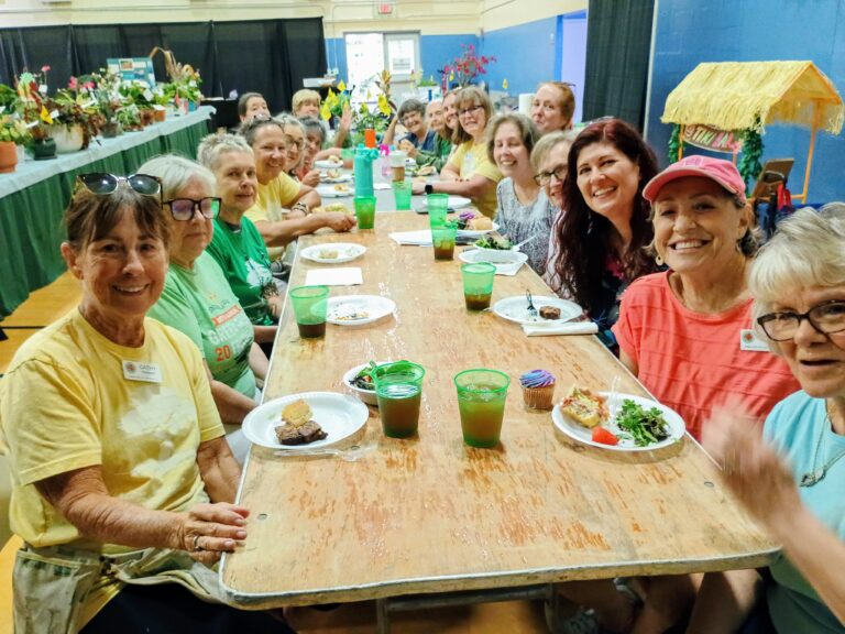 flower show set up 2024