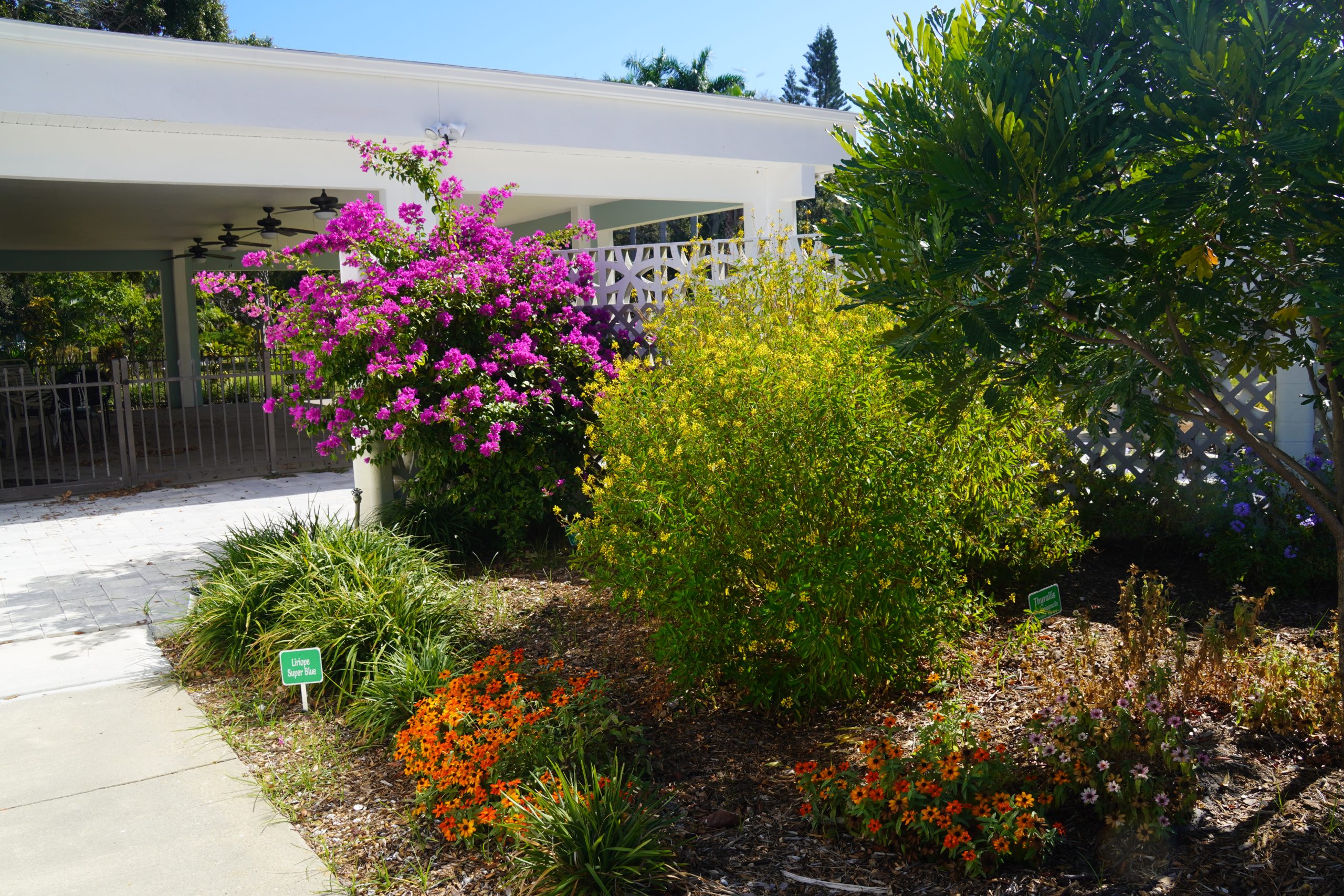 DSC00284 GCSP Home Pg