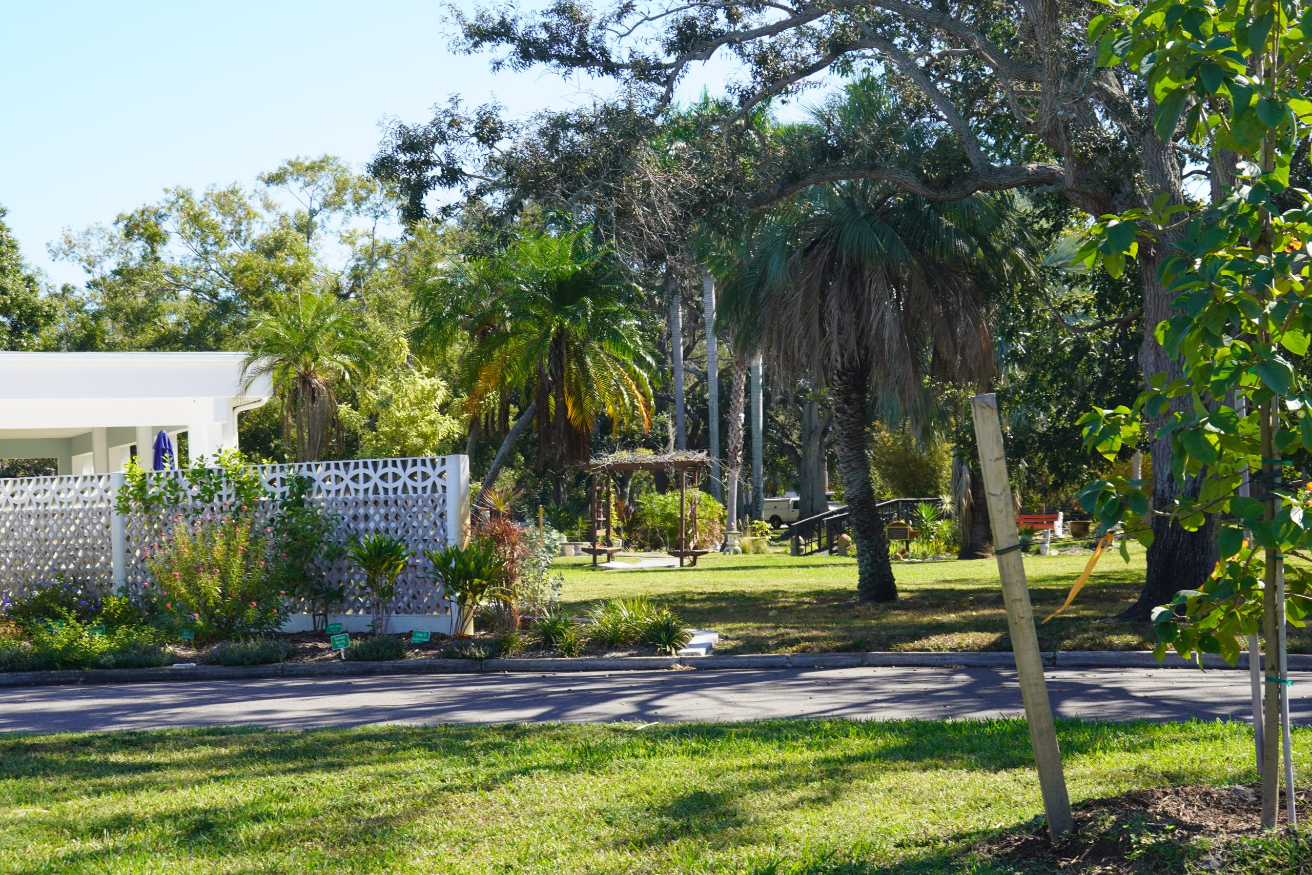 DSC00298 Home page photo