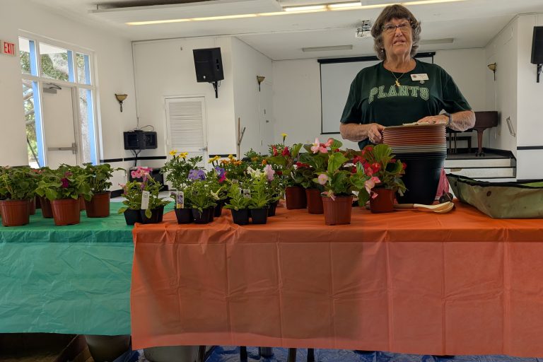 PXL_20251027_145048636