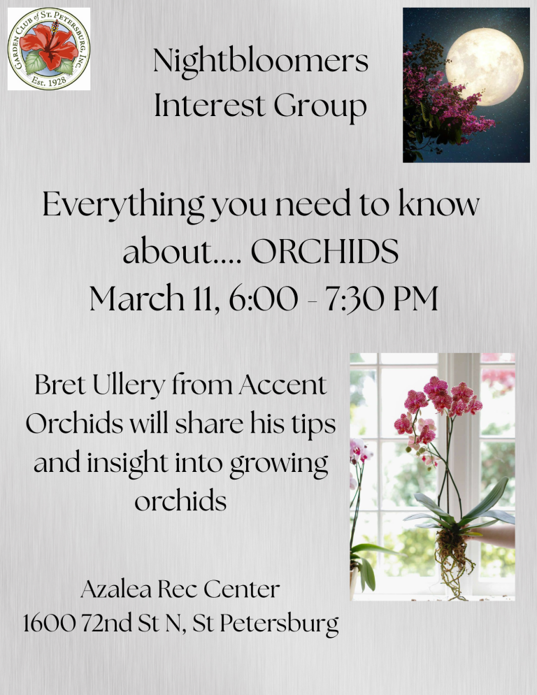 night bloomers orchids (1)