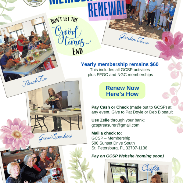 2026 Membership Flyer