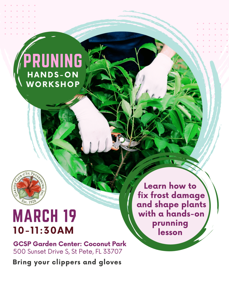 GCSP Pruning March 19 V2