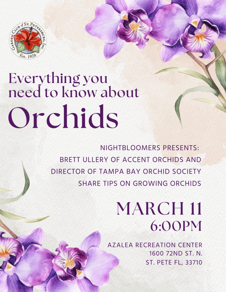 Orchids at Nightbloomers March 2026 (2)