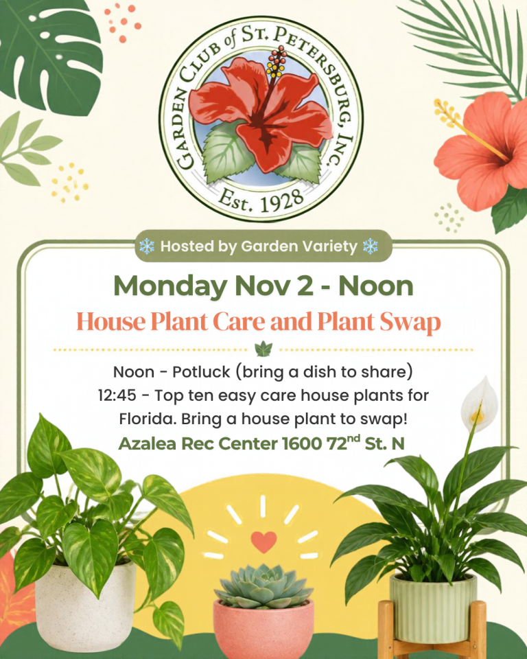 Nov 2 House Plant Swap