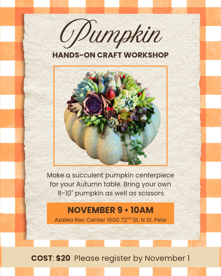 Nov 9 Pumpkin Decor